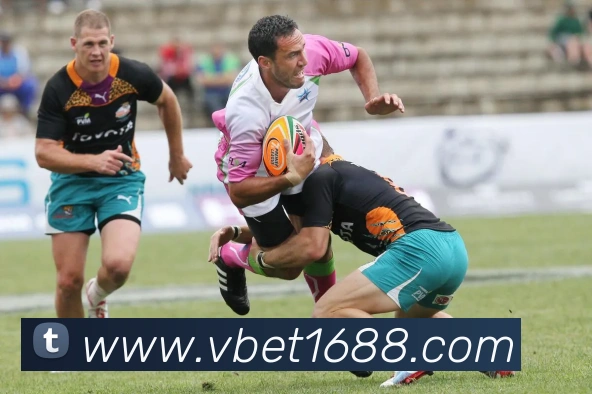 互动解说服务